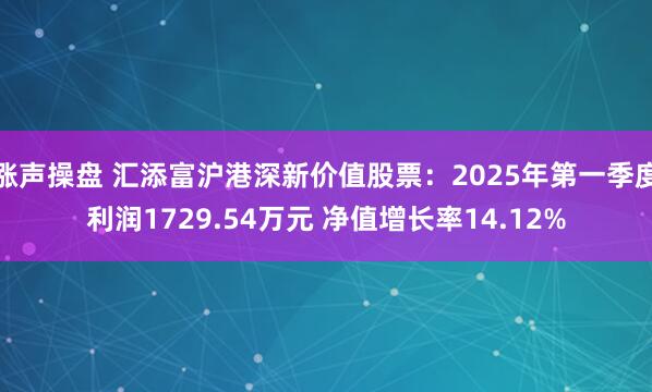 涨声操盘 汇添富沪港深新价值股票：2025年第一季度利润1729.54万元 净值增长率14.12%