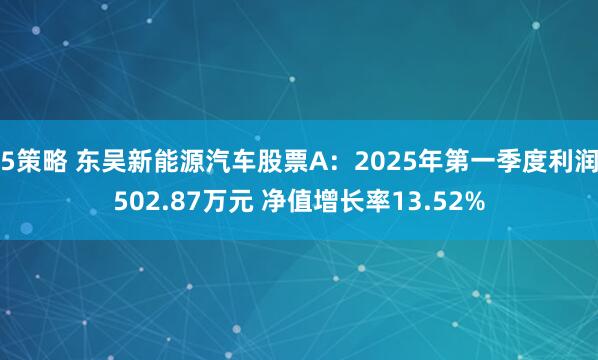 5策略 东吴新能源汽车股票A：2025年第一季度利润502.87万元 净值增长率13.52%