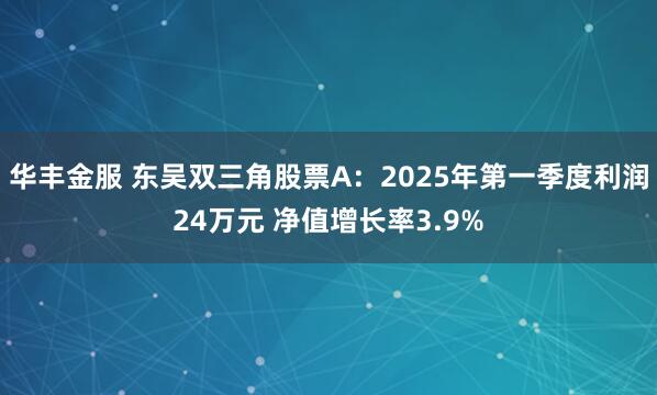 华丰金服 东吴双三角股票A：2025年第一季度利润24万元 净值增长率3.9%