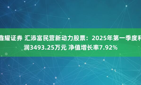 鑫耀证券 汇添富民营新动力股票：2025年第一季度利润3493.25万元 净值增长率7.92%