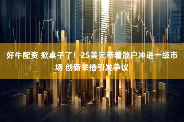 好牛配资 掀桌子了！25美元带着散户冲进一级市场 创新举措引发争议